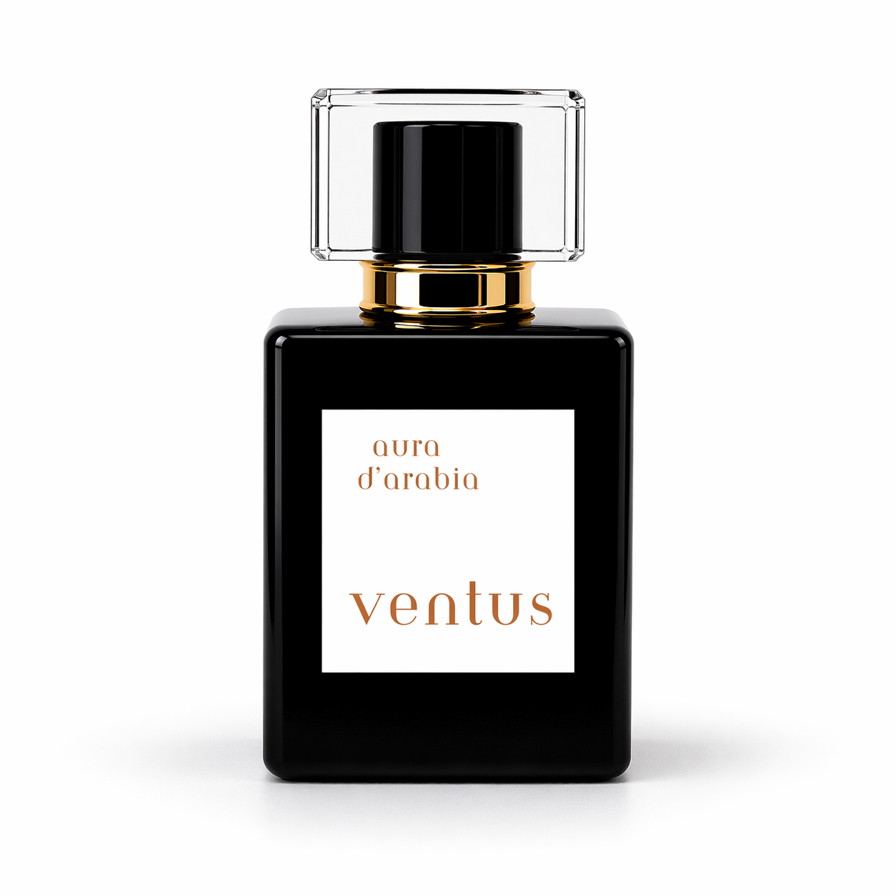 ventus 50ml - Eau de Parfum